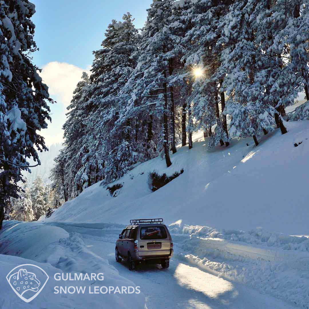 Srinagar to Gulmarg taxi