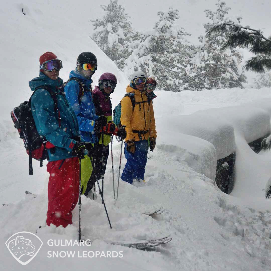 About to shred some freshies