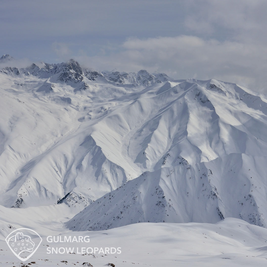 Gulmarg Heliski terrain