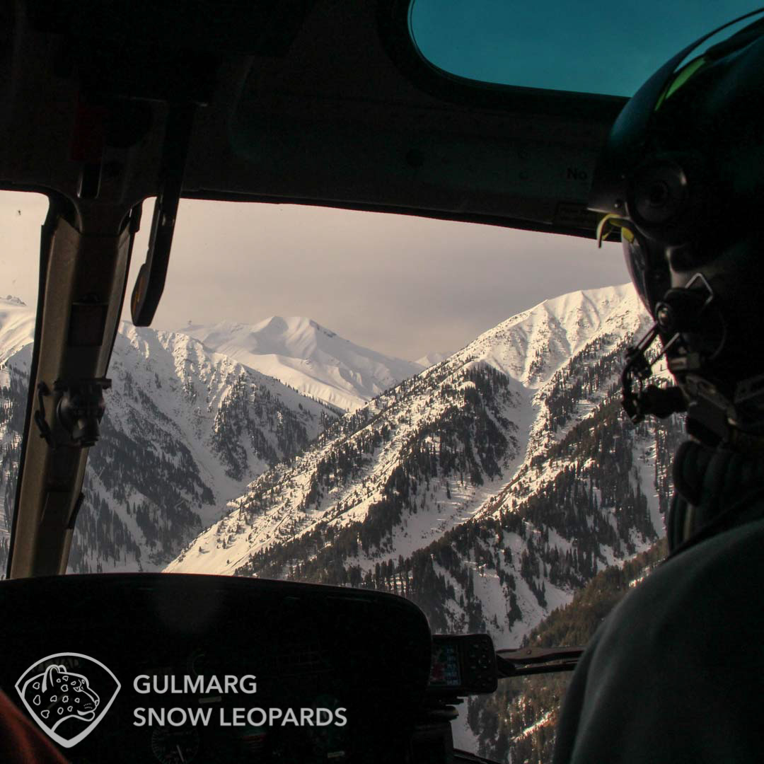 Powder skiing with Kashmir Heliski