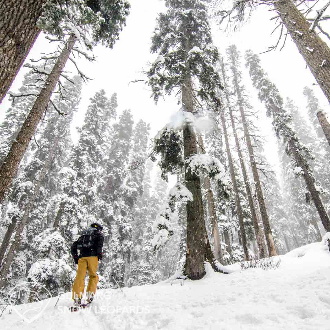 Skinning up Monkey hill on a stormy day