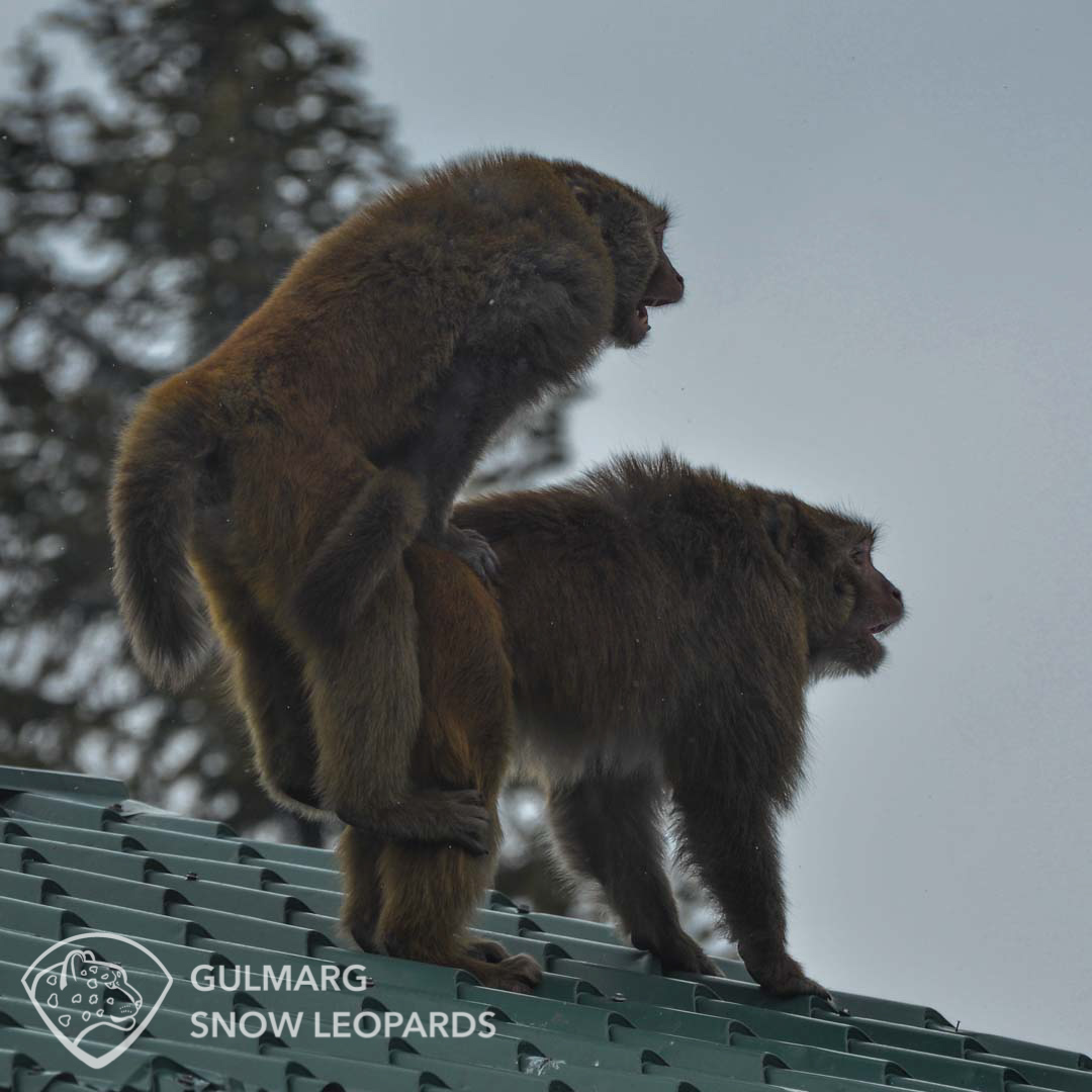 Good morning quickie